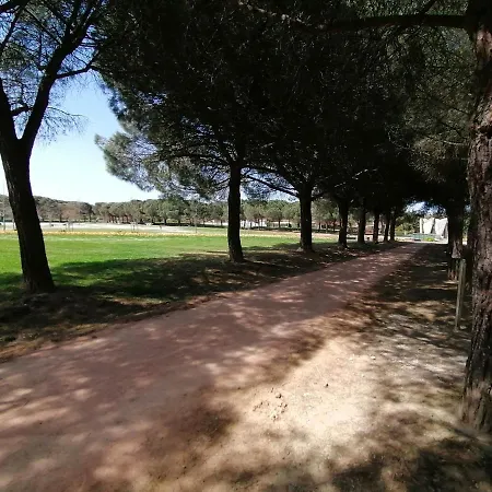 Orion - Cosynest A Toulouse - Pkg Prive & Climatisation *
