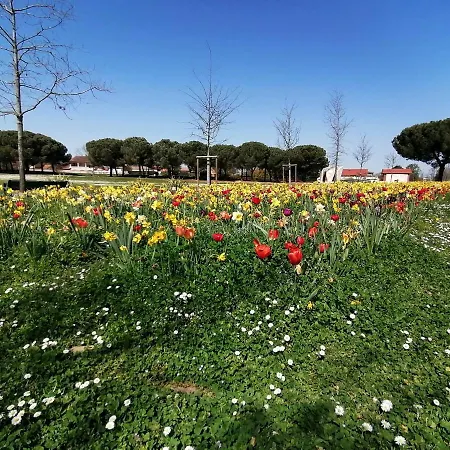 Apartment Orion - Cosynest A Toulouse - Pkg Prive & Climatisation